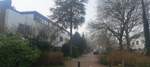 Havezathe